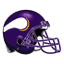 Minnesota Vikings